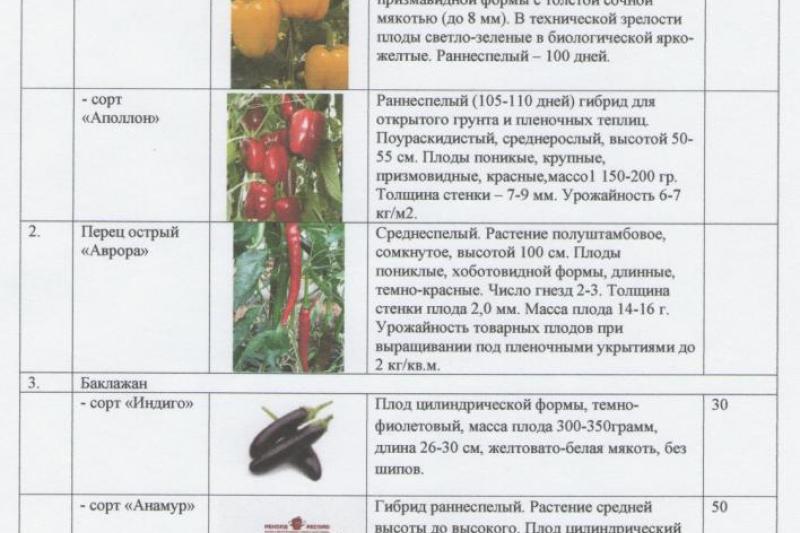 Прейскурант цен на рассаду 2019 года