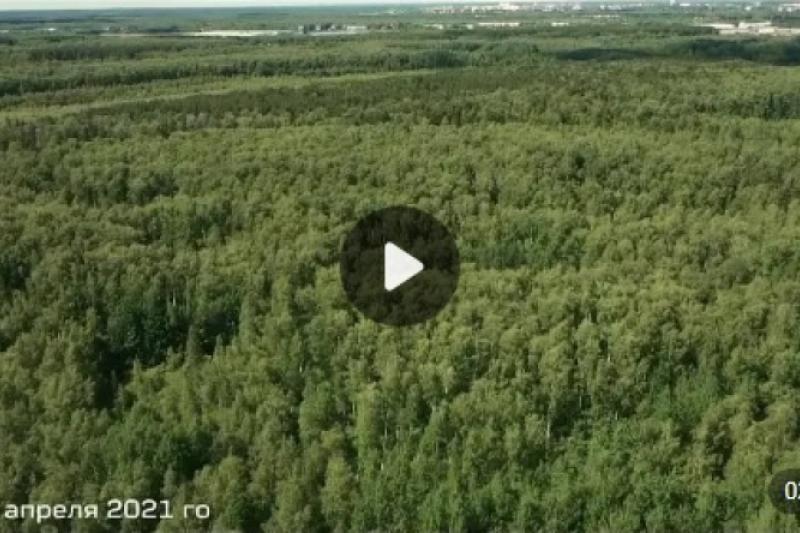 Следственные управления на транспорте ПРЕДУПРЕЖДАЮТ