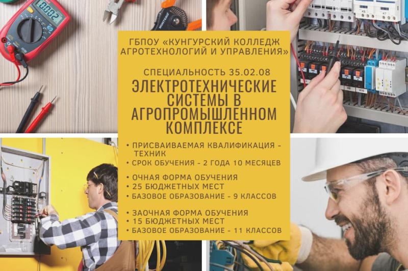 Электротехнические системы в агропромышленном комплексе
