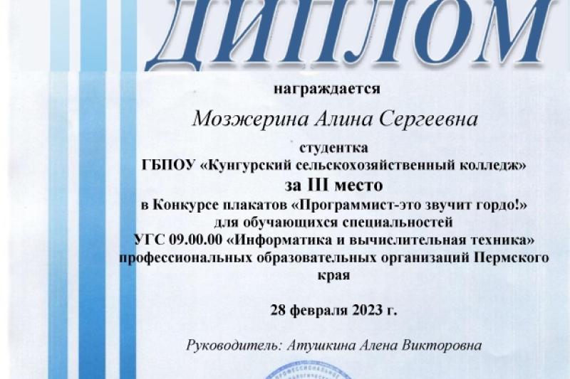 Краевой конкурс плакатов "Программист - это звучит гордо!"