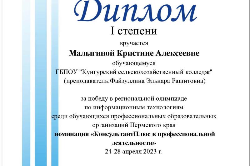 Краевая олимпиада по информационным технологиям. Номинация «КонсультантПлюс в профессиональной деятельности»