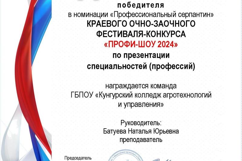 Краевой фестиваль-конкурс «Профи-шоу»