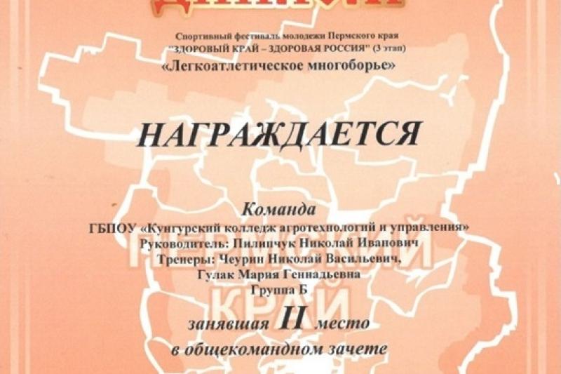Спортивный фестиваль молодежи Пермского края «Здоровый край – здоровая Россия»