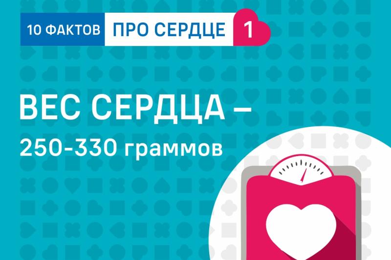 Неделя борьбы с артериальной гипертонией и приверженности назначенной врачом терапии (в честь Всемирного дня борьбы с артериальной гипертонией 17 мая)