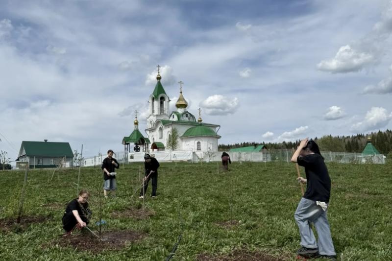 Волонтерская помощь