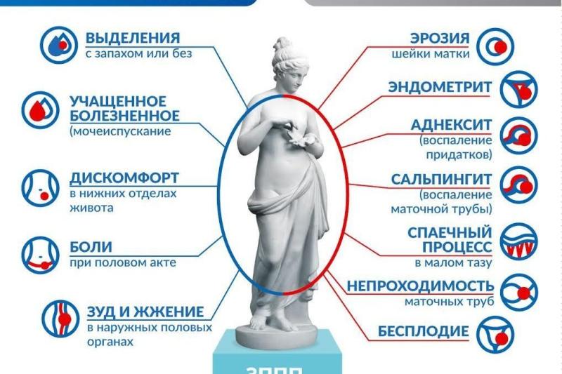 Неделя профилактики инфекций, предающихся половым путем