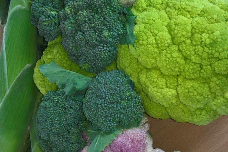 Учебная практика в с.Усть-Турка