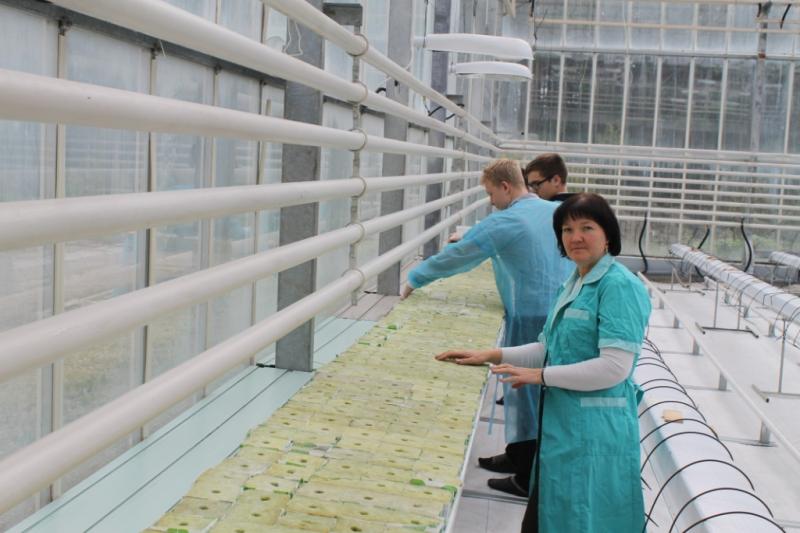 Посевные работы в многофункциональном центре 