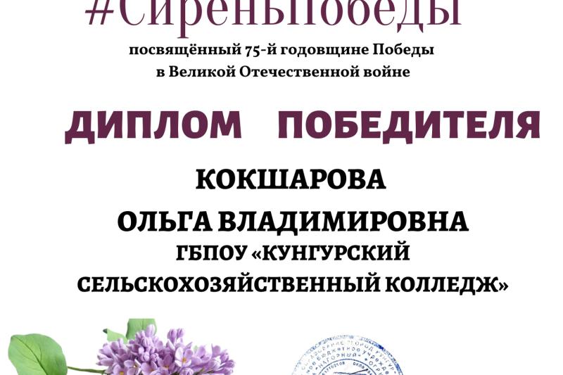 Интернет-конкурс рисунков #СиреньПобеды