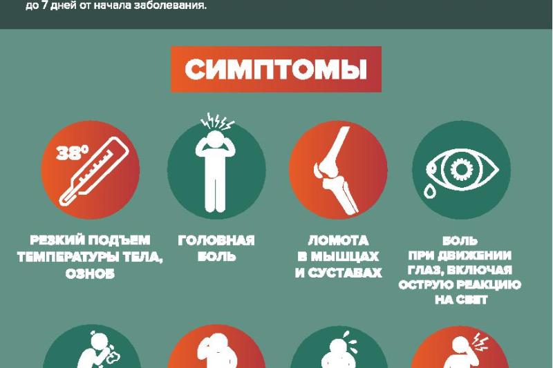 О профилактике гриппа в эпидемический сезон 2020-2021