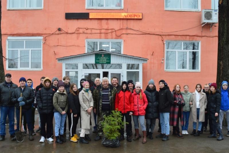 Благоустройство территории