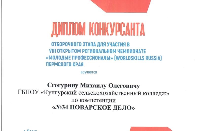 Отборочный этап VIII Регионального чемпионата WorldSkills по компетенции "Поварское дело"