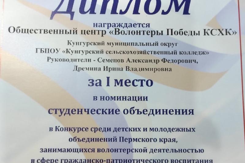 Мы - лучшие волонтеры Пермского края!
