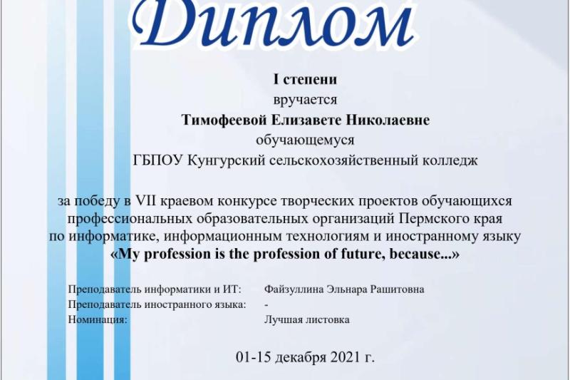 VII краевой конкурс творческих проектов обучающихся ПОО Пермского края «My profession is the profession of future, because…»
