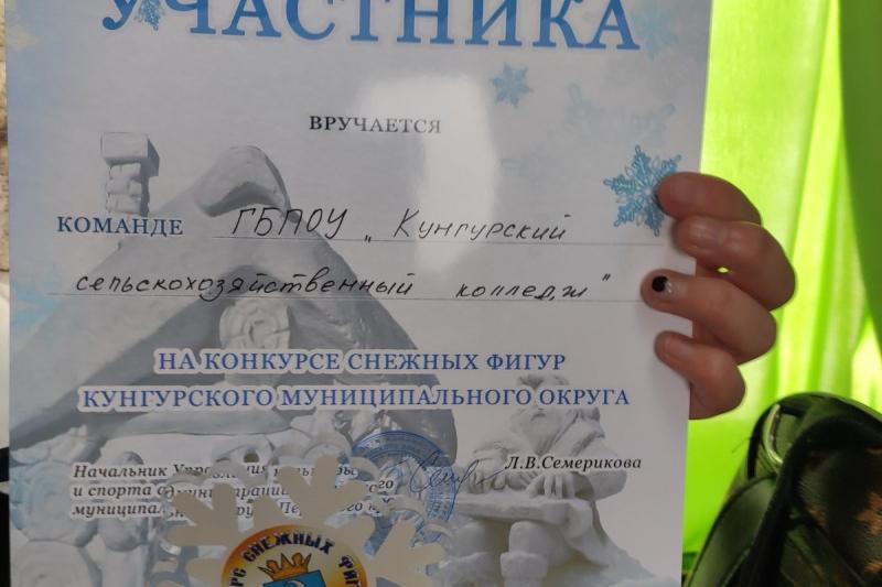 Участие в муниципальном конкурсе "снежные фигуры"
