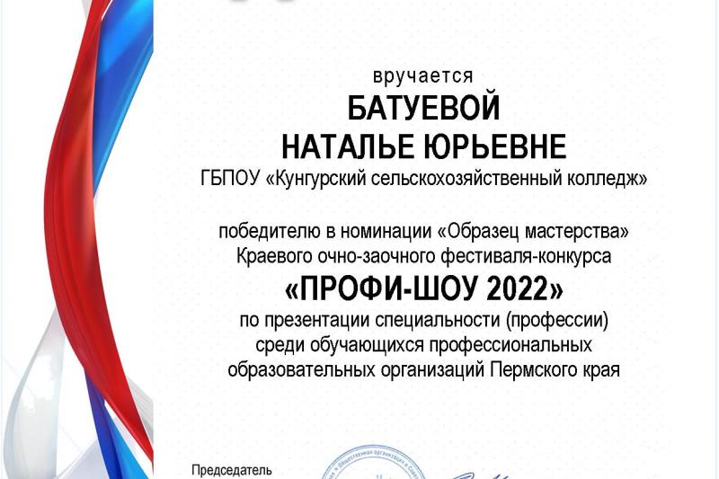 Краевой фестиваль-конкурс "Профи-шоу"
