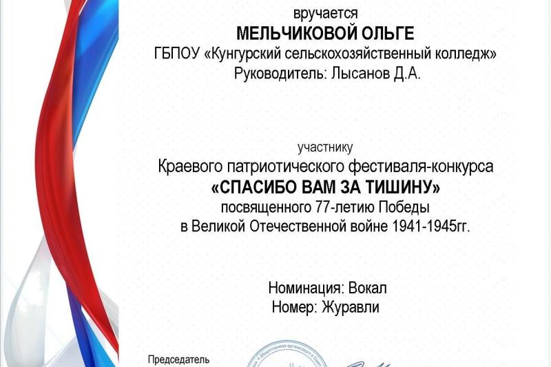 Заочный Краевой патриотический фестиваль-конкурс «Спасибо вам за тишину»