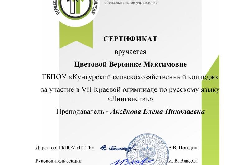 VII Краевая дистанционная олимпиада по русскому языку «Лингвистик»